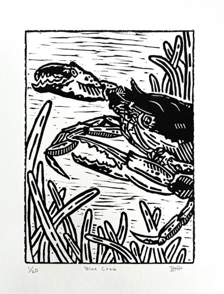 Blue Crab