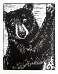 Black Bear