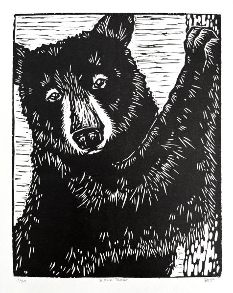 Black Bear