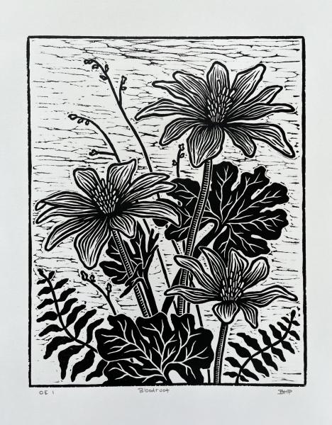 Bloodroot