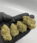 Acapulco Gold Strain