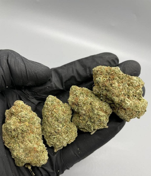 Acapulco Gold Strain