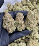 Cannabis High Times Store