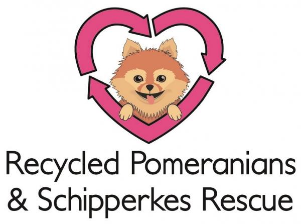 Recycled Pomeranians & Schipperkes Rescue