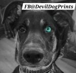 Devildogprints