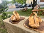 Asia-Teak
