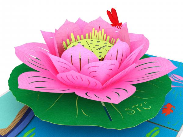 Lotus Flowers picture