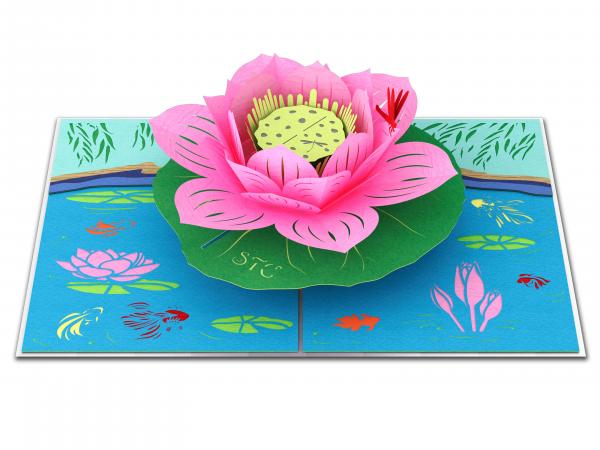 Lotus Flowers picture