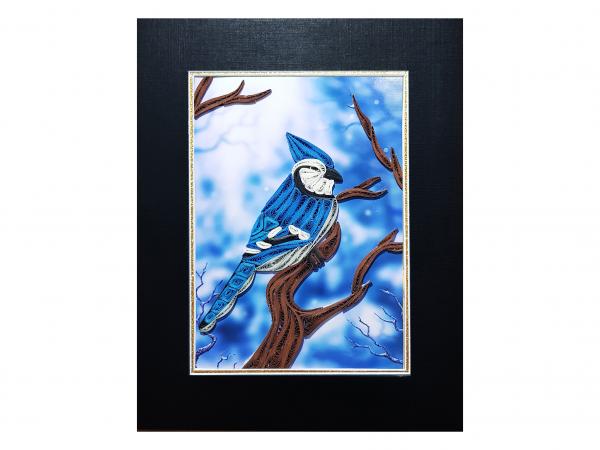 Blue Jay picture