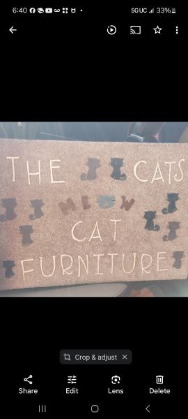 Cats Meow Cat Furniture