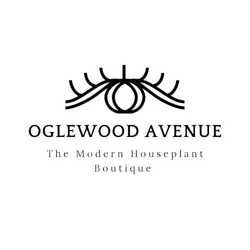 Oglewood Avenue Plant Shop