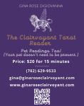The Clairvoyant Tarot Reader