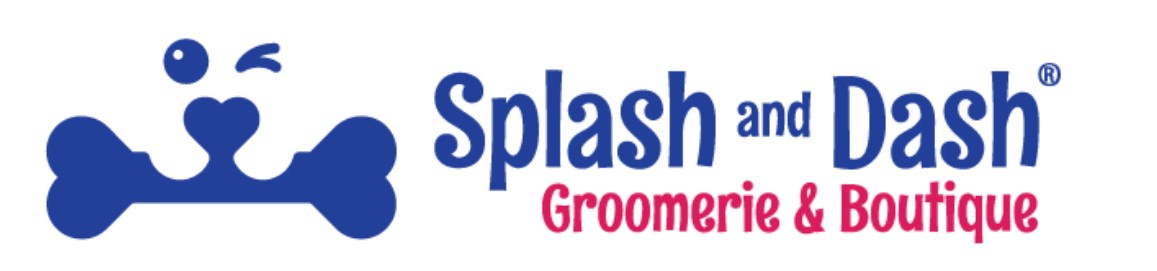 Splash and Dash- Katy