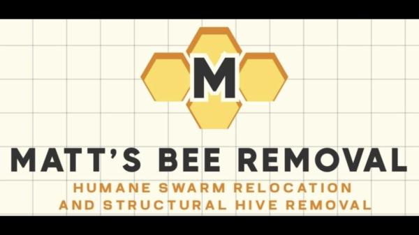 Matt&rsquo;s Bee Removal