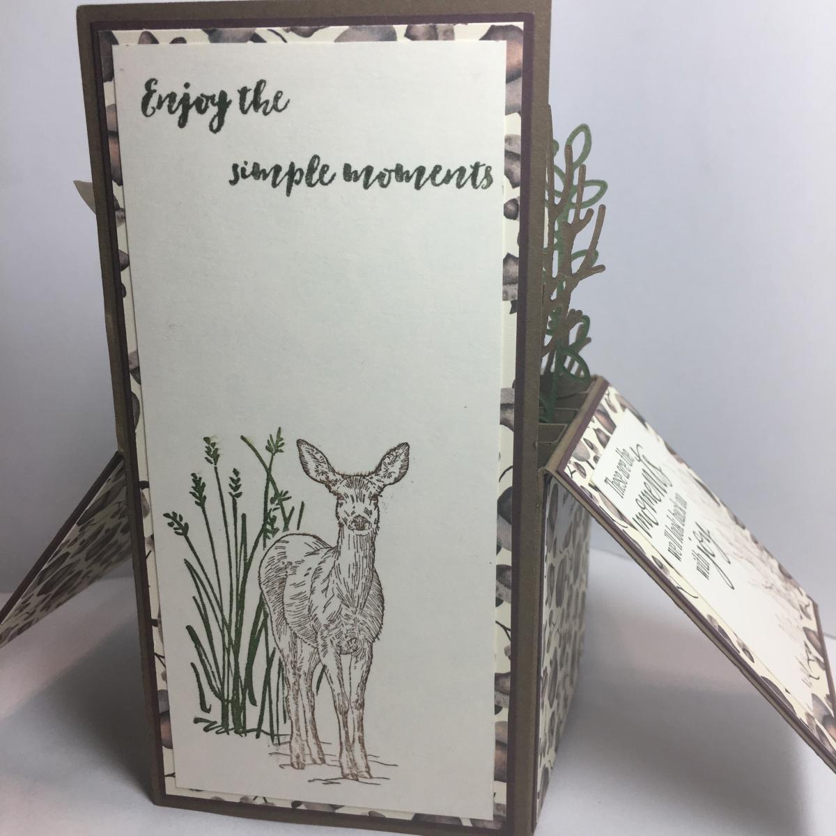 Expanding Box Card picture