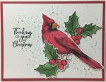 Christmas Cardinal