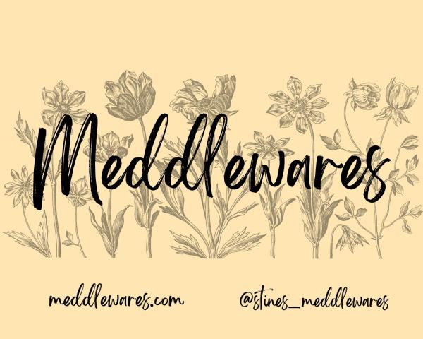 Meddlewares