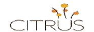 Citrus Salon