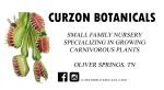 Curzon Botanicals