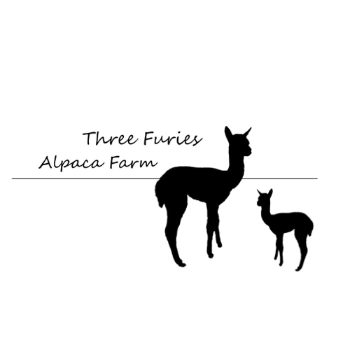 Three Furies Alpaca Farm
