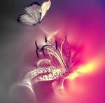 Ooh La La Creations (formerly Pandoras SecretBox