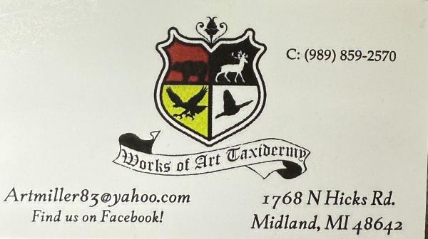 Works of Art Taxidermy