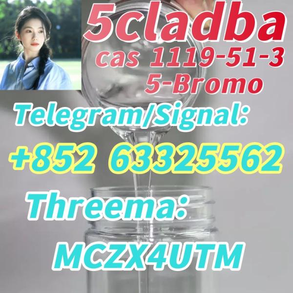 sample with fast delivery CAS 1119-51-3 5-Bro liquid