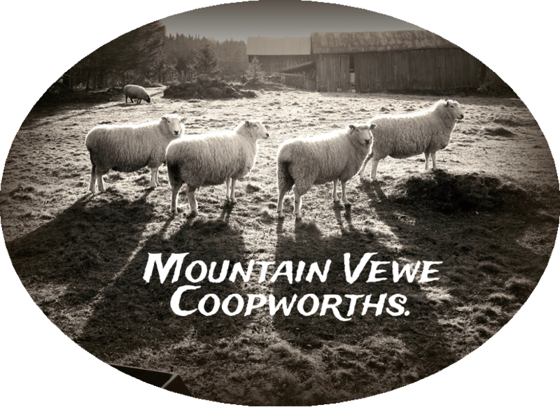 Mountain Vewe Coopworths