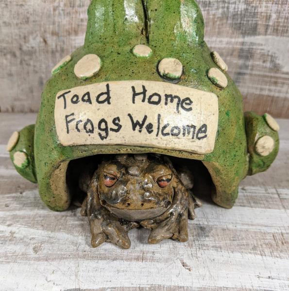 Large Frog Toad Home picture