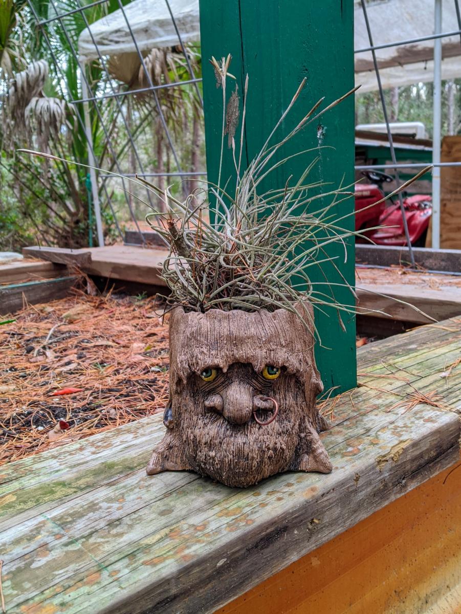 Handmade Ceramic Ent Planter picture