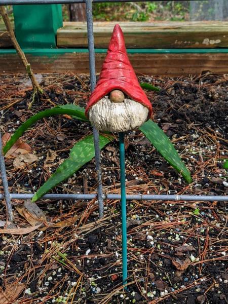 Garden Gnome, Plant and Garden Stake picture