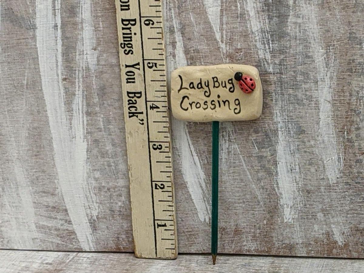 LadyBug Crossing picture