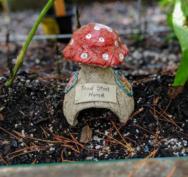 Toad Stool Home, Handmade Ceramic Toad House, Whimsical Toad House picture