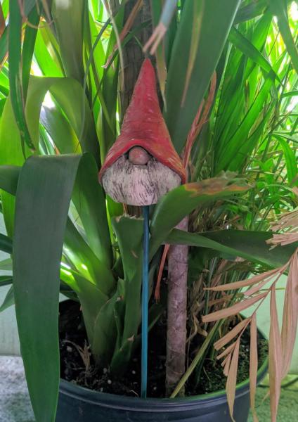 Garden Gnome, Plant and Garden Stake picture
