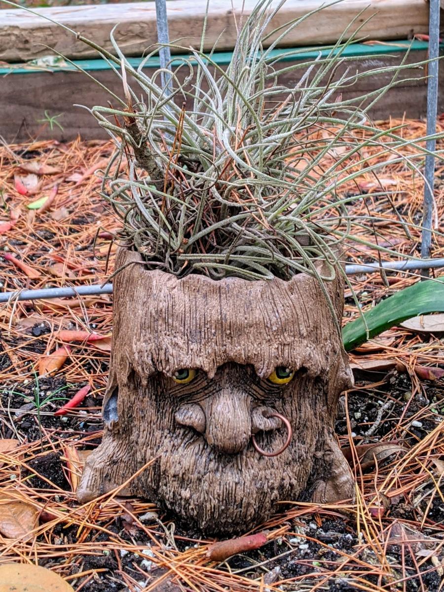 Handmade Ceramic Ent Planter picture