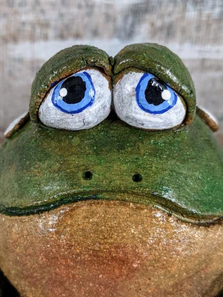 Handmade Frog Toad Home picture