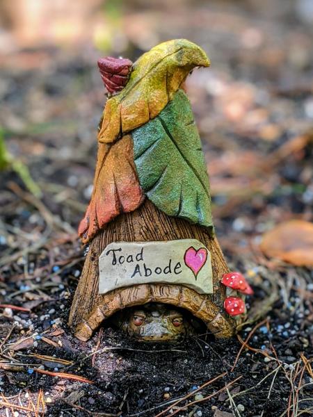 Toad Abode Toad House picture