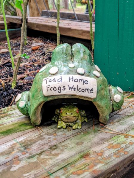 Large Frog Toad Home picture
