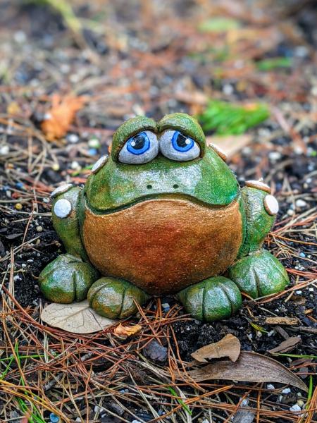 Handmade Frog Toad Home picture