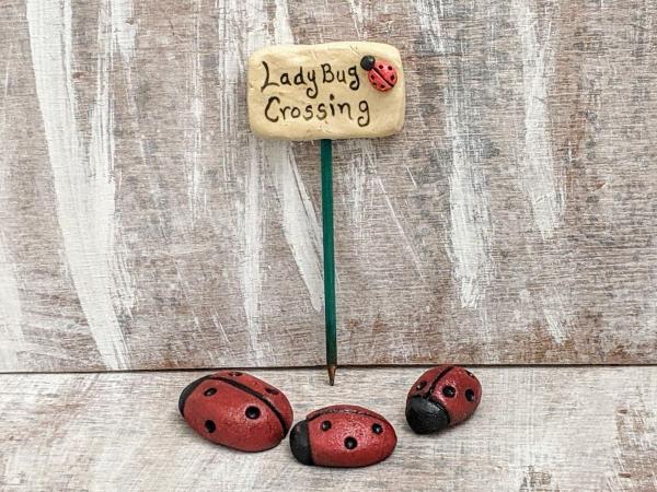 LadyBug Crossing picture