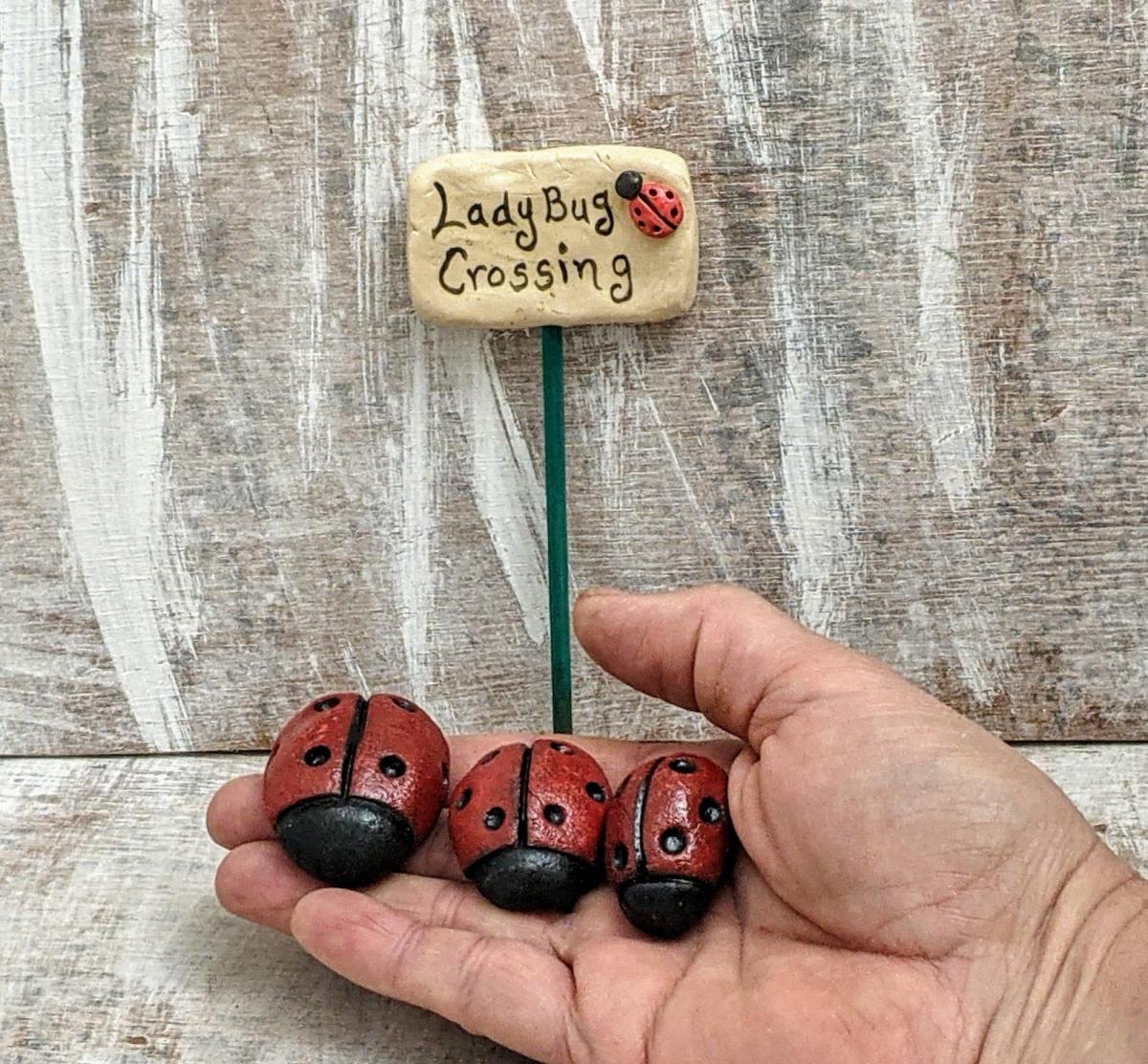 LadyBug Crossing picture