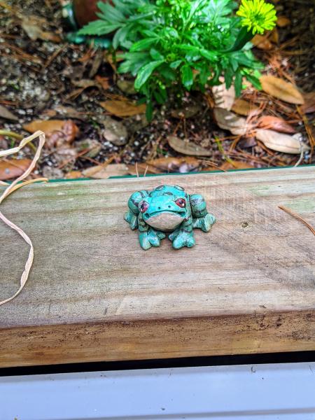 Little Green Tree Frog picture