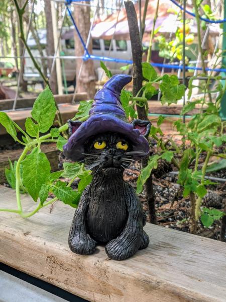Black Cat with Purple Witch Hat