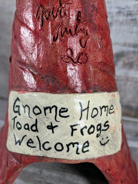 Gnome Toad Home picture