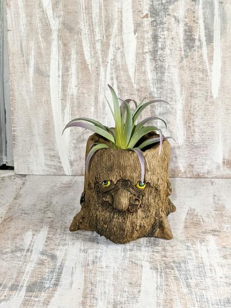 Handmade Ceramic Ent Planter
