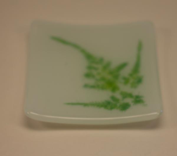 Climbing Fern Vitra tray picture