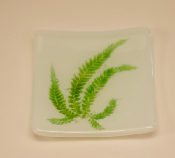 Lady Fern Vitra picture