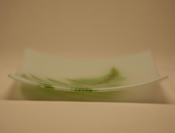 Fern Vitra Plate picture