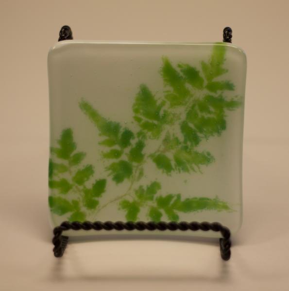 Climbing Fern Vitra tray picture