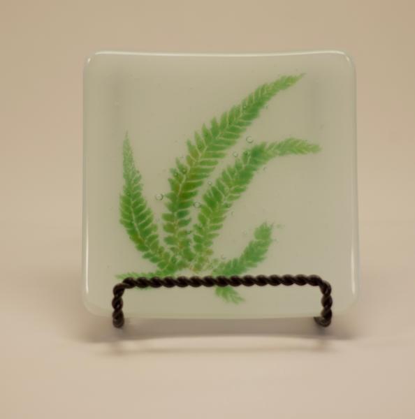 Lady Fern Vitra picture